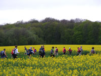 action-forme-sante_marche_nordique_04